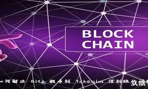 如何解决 Bitz 提币到 Tokenim 没到账的问题