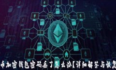 狗狗币加密钱包密码丢了怎么办？详细解答与恢