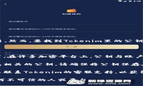 在Tokenim中，公钥通常用于加密和验证用户的身份及交易。然而，要找到Tokenim里的公钥，您可以按照以下步骤操作：

1. **登录账户**：首先，您需要登录到您的Tokenim账户。

2. **访问安全设置**：登录后，前往账户的安全或钱包设置。在许多加密平台上，公钥与账户的安全性相关，因此通常可以在安全或钱包管理部分找到。

3. **查看公钥**：在相关的部分中，您可能会看到与您钱包相关的公钥。请确保将公钥保存在安全的地方，因为它可能用于接收资金和确认您的身份。

4. **联系我们的支持团队**：如果您无法找到公钥，您可以联系Tokenim的客服支持，以获得更多帮助和指导。

请确保在处理公钥和私钥时保持安全，避免将其透露给任何不可信的人或平台。